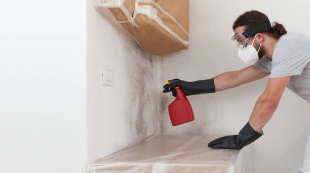Professional Bathroom Mold Removal technician working in Centreville, MI