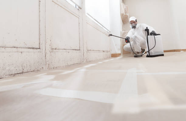 24/7 Emergency Bathroom Mold Removal experts in Centreville, MI